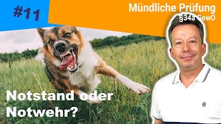 Notwehr oder Notstand  mögliche Fragen in der mündlichen Prüfung [upl. by Mercy]