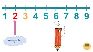 Antecesor y Sucesor  Matemática 1°Básico [upl. by Ecnarf]