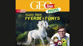 GEOlino Mini Hörbuch Alles über Pferde amp Ponys Hörprobe [upl. by Jacobs]