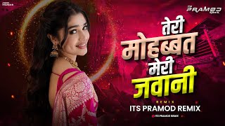 Teri Mohabbat Meri Jawani Dj Song  Its Pramod Remix  Teri nazar ka banke nisana  Instagram Viral [upl. by Thibaud954]