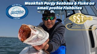 Weakfish Porgy Seabass amp Fluke flounder on small profile Fishbites [upl. by Nahtanha663]