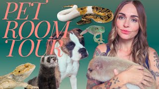 Ultimate Pet Room amp Reptile Tour [upl. by Laurena]