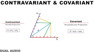 33 Contravariant and Covariant tensor  In Hindi [upl. by Rancell]