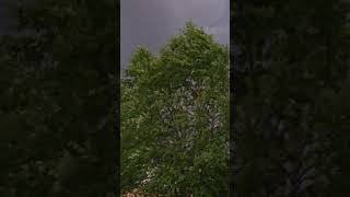 ⛈️ SuperCell over Omaha  12 June 2024 [upl. by Lemar210]