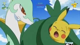 Pokemon BattleAshs Pikachu Vs Trips Serperior [upl. by Gord]