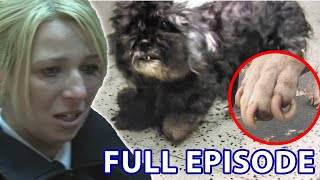 Starved amp Neglected Dogs Get Rescued From Hellish Conditions  The Dog Rescuers  Season 2 Episode 1 [upl. by Hercule418]