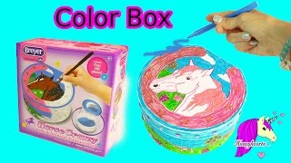 Breyer Horse Crazy Color amp Decorate Treasure Box Craft Video with Markers  Honeyhearts [upl. by Alimhaj403]