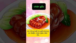 Chân Gấu Có Thực Sự Ngon Không   Gino Nguyễn kienthuc [upl. by Alah]