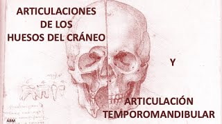 Articulaciones de cráneo [upl. by Grinnell]