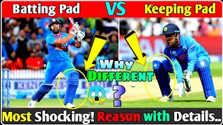 Why different types of cricket pads use by cricketer🏏 batting pad  keeping pad  Full details🔥 [upl. by Nylrad]