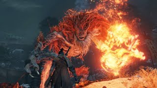 Sekiro Demon of Hatred Secret Boss Fight [upl. by Bathelda735]