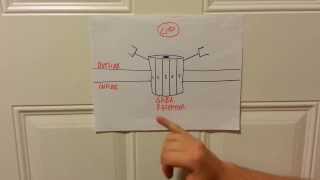 How Xanax Alprazolam Works  The GABA Complex [upl. by Adiehsar602]