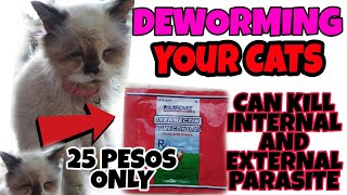 DEWORMING YOUR CATS AND DOG USE IVERMECTIN FOR ONLY 25 PESOSKILL BULATE KA [upl. by Bedad112]