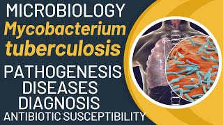 Mycobacterium tuberculosis disease  Mycobacterium tuberculosis pathogenesis  TB lab diagnosis [upl. by Federica813]