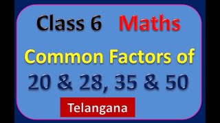 6th Class Maths Common Factors of 20 and 28 35 and 50 FocusEducation432 focuseducation432 [upl. by Nadya]