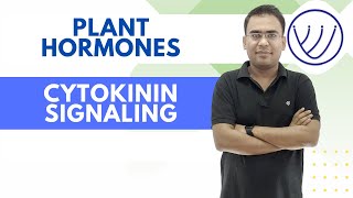 CYTOKININ SIGNALING  PLANT HORMONES  BY NILESH SONI [upl. by Bruno]