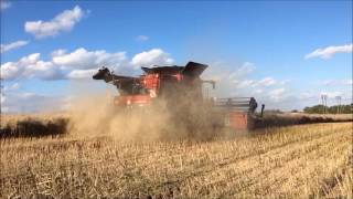 Case IH Axial Flow 7140 and 9240  Farmstar Ltd [upl. by Darla161]