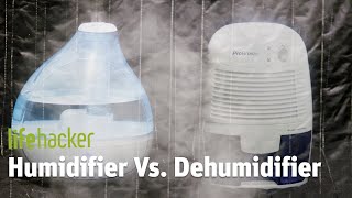 Humidifier VS Dehumidifier [upl. by Michaelina]