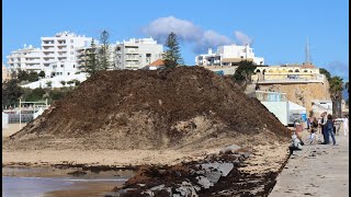 Uma montanha de algas na praia [upl. by Treva]