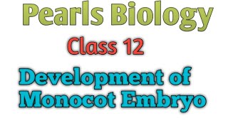 Development of Monocot Embryo [upl. by Marduk]