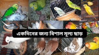 আবারো সস্তায় বাচ্চাসহ বা ডিম বাচ্চার গ্যারান্টিসহ 1080p [upl. by Stultz197]