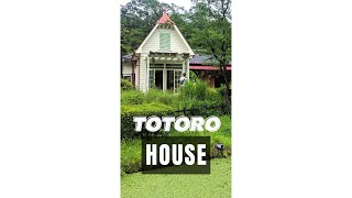 Real My Neighbor Totoro House In Japan shorts [upl. by Oicirtap]