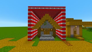 Transforming a Minecraft Village with 10000 TNT Blocks [upl. by Oinesra927]