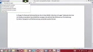 Dragon Professional Individual einfacher Einstieg in den Einsatz von Spracherkennung [upl. by Sremmus376]