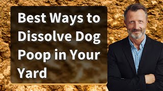 Best Ways to Dissolve Dog Poop in Your Yard [upl. by Yttak]