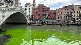 Venise  les eaux du Grand Canal virent au vert fluorescent [upl. by Trebuh]