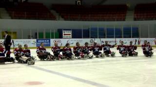 Norway celebrate Sochi spot  2013 IPC Ice Sledge Hockey World Championships APool [upl. by Panta]