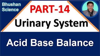 PART 14 Urinary System  Acid Base Balance B Pharm GPAT Nursing [upl. by Luci]