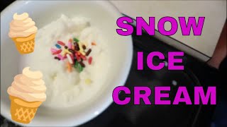 DIY Snow Ice Cream with FRESH SNOW [upl. by Hales]