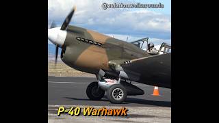 Take a Look at the P40 Warhawk and Hear its Engine in Taxi Our aviation military history [upl. by Sauncho]