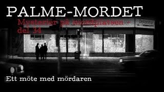 PALMEMORDET  Mysterier på mordplatsen 34 Ett möte med mördaren [upl. by Einohpets937]