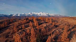 Aerial view of Mountain Altai with autumn colors and snowcapped peaks [upl. by Victorine]