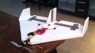 Styropor Flieger  RC Plane selfmade [upl. by Gitel]