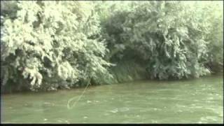 Soaring Eagle Lodge Dry Fly amp Streamer Fishing on the San Juan River [upl. by Goddord861]