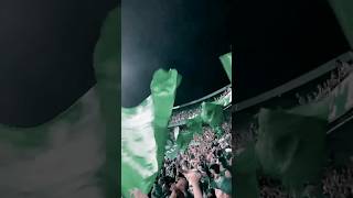 IMPÉRIO ALVIVERDE  Coritiba x Londrina  Campeonato Paranaense coritiba imperio coxadoido [upl. by Eusadnilem]