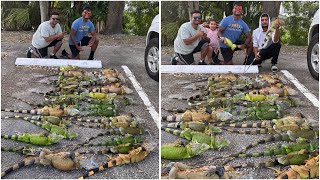 LBreeding Trespassing Iguanas Are Fighting Golf Course for Territory Iguana Removal Job [upl. by Nerac289]