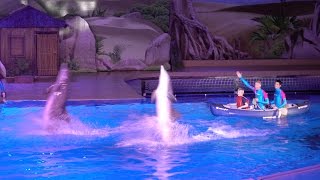 Dolfijnen show Dolphin Bay Adventure Boudewijn Seapark 2016 [upl. by Aira]