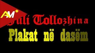 Juli Tollozhina  Plakat ne dasem Video  Tekst [upl. by Yttak]