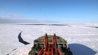 Arctic Expedition 2015 to Severnaya Zemlya Archipelago Russia [upl. by Milak669]