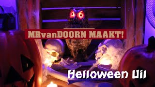 MrvanDoorn MAAKT Halloween Uil [upl. by Iret102]