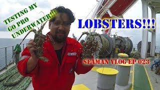 Lobster Haul Throwing GoPro H5 Underwater  Seaman VLOG 023 [upl. by Annuahs947]