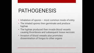 ZYGOMYCOSIS [upl. by Meridel]