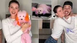 Nicola Peltz Dyes Dogs Pink amp Orange [upl. by Ahsote]