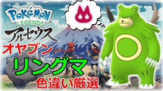 【ポケモンレジェンズアルセウス】 オヤブン リングマ色違いを厳選していく配信！！【雑談枠】 [upl. by Enerol]