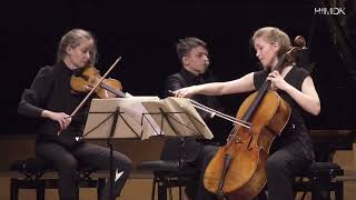 Beethoven Piano Trio D major op 701 quotGhostquot  Amelio Trio [upl. by Nace215]