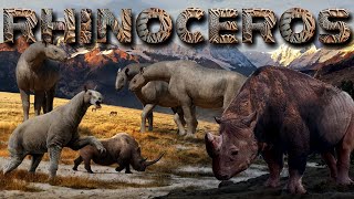 Evolution of RHINOCEROS [upl. by Zeena729]